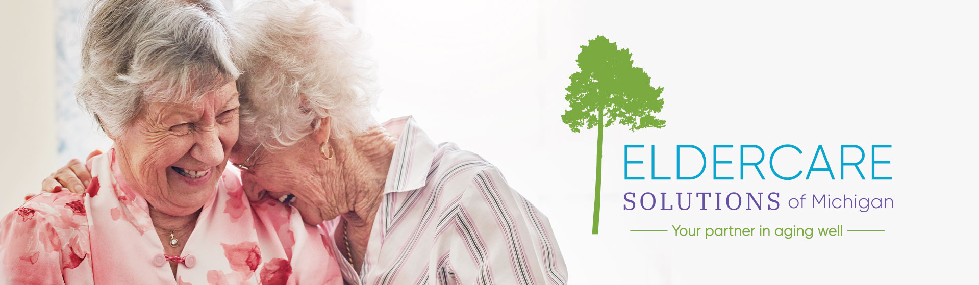 Cqes Center For Quality Eldercare Services ElderCare Solutions of Michigan - Jewish Family Service of Metro Detroit